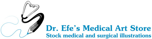Dr. Efe’s Medical Art Store: Medical Illustrations and Surgical Art